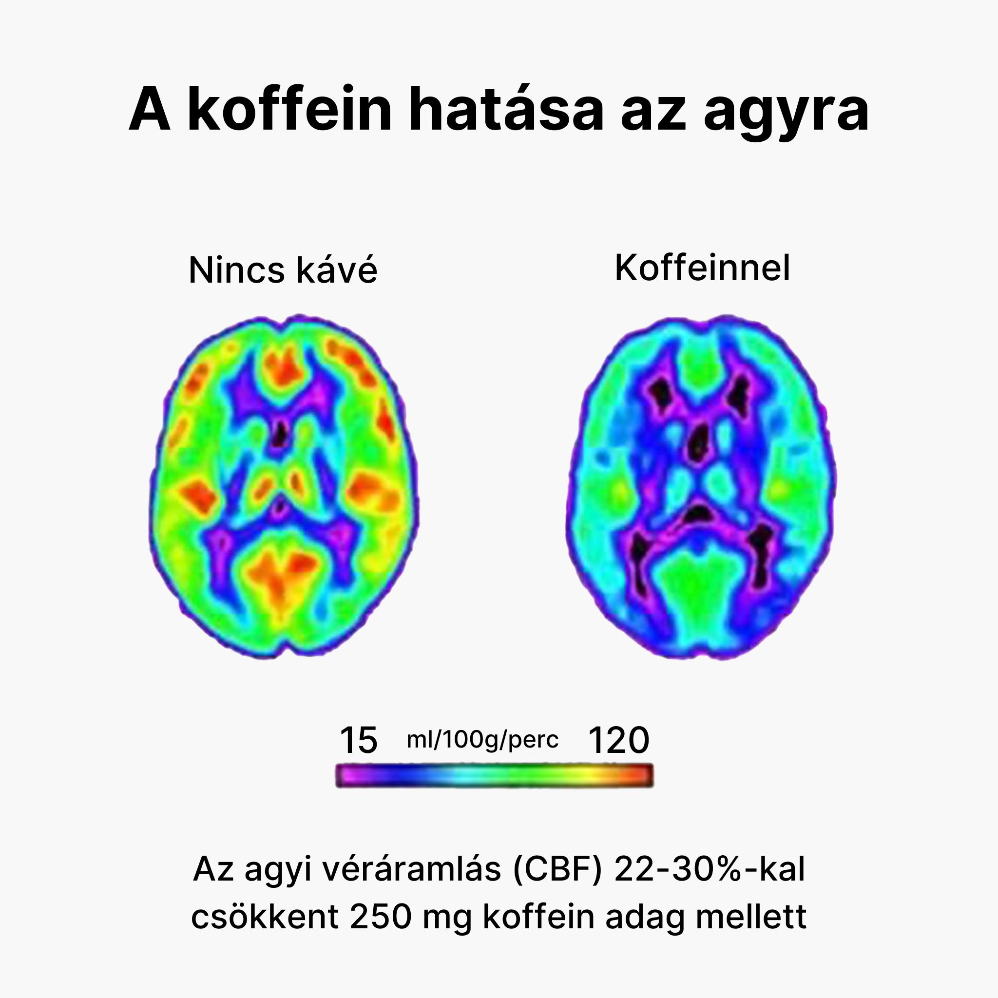 (Maďarština) (91)